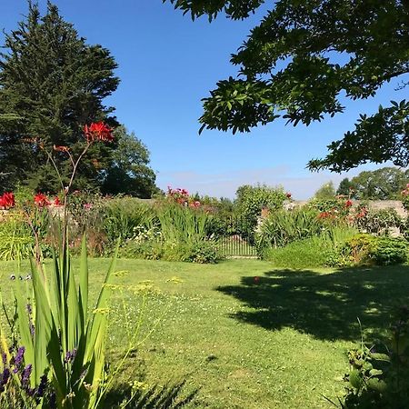 The Potting Shed, Self Contained, Detached Retreat In Shapwick Village Екстериор снимка