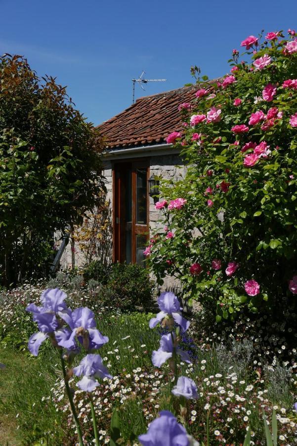 The Potting Shed, Self Contained, Detached Retreat In Shapwick Village Екстериор снимка