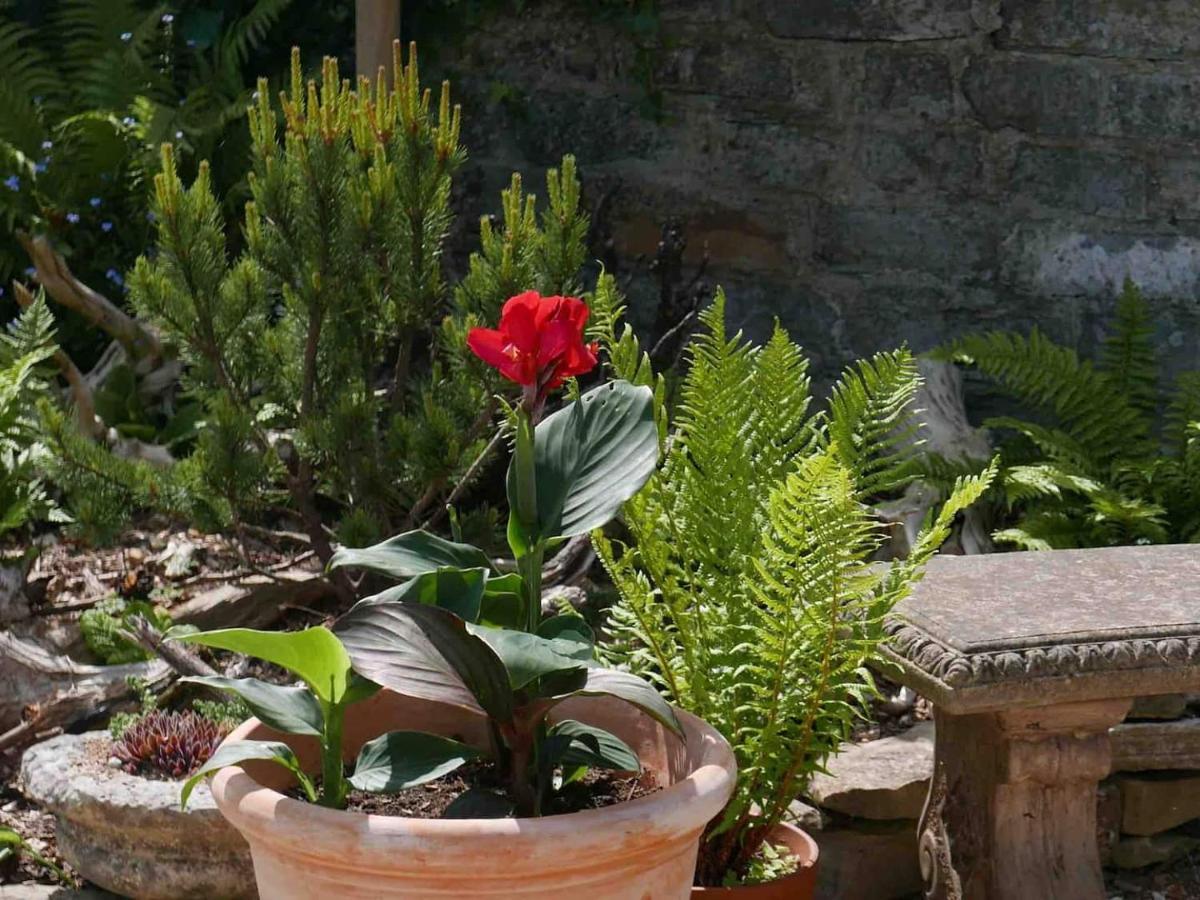 The Potting Shed, Self Contained, Detached Retreat In Shapwick Village Екстериор снимка